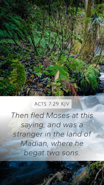 Acts 7:29 KJV Bible Verse Image