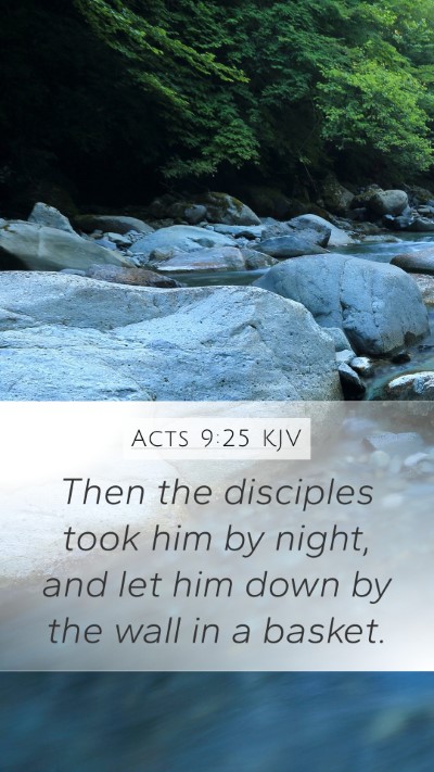 Acts 9:25 KJV Bible Verse Image