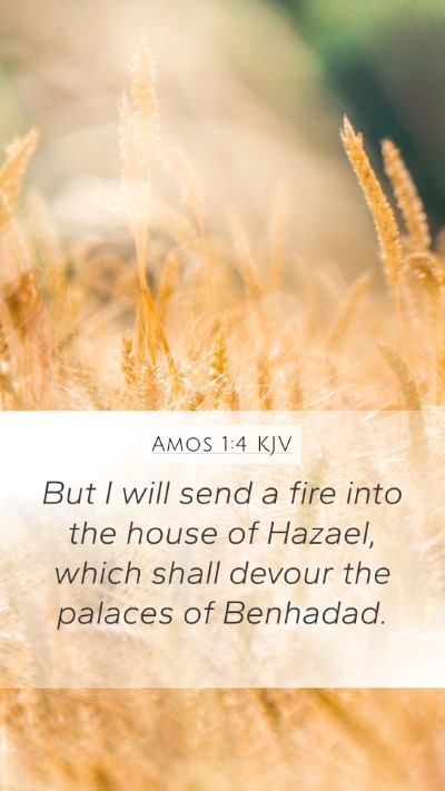 Amos 1:4 KJV Bible Verse Image