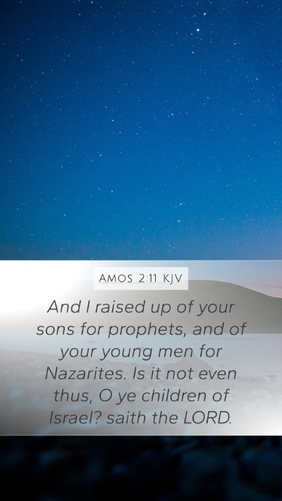 Amos 2:11 KJV Bible Verse Image