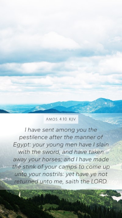 Amos 4:10 KJV Bible Verse Image