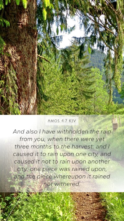 Amos 4:7 KJV Bible Verse Image