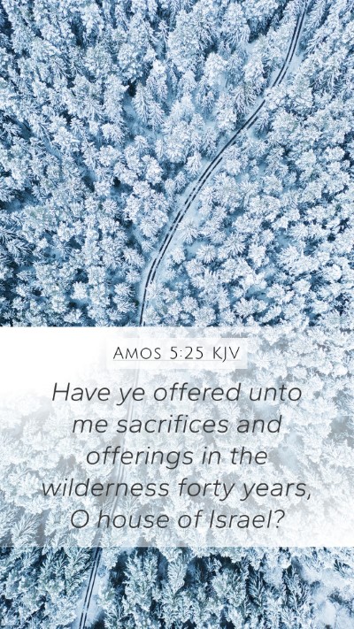 Amos 5:25 KJV Bible Verse Image