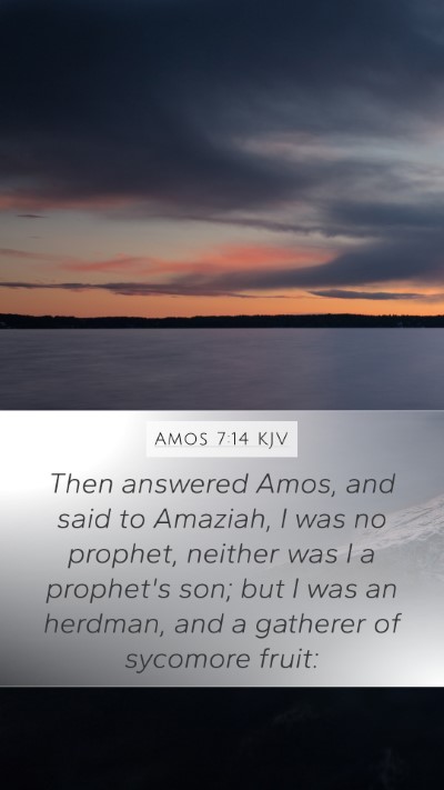 Amos 7:14 KJV Bible Verse Image