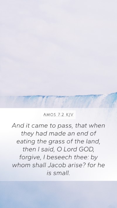 Amos 7:2 KJV Bible Verse Image