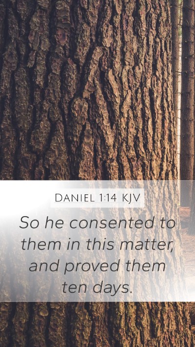 Daniel 1:14 KJV Mobile Phone Wallpaper - So he consented to them in this matter, and - Mobile Bible Verse Wallpaper
