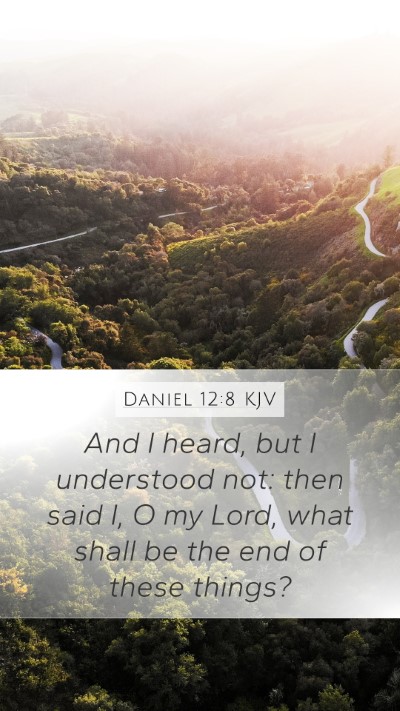 Daniel 12:8 KJV Bible Verse Image