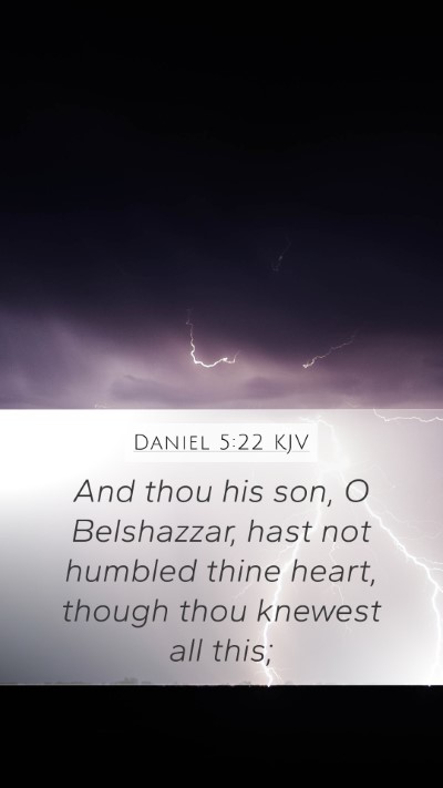 Daniel 5:22 KJV Bible Verse Image