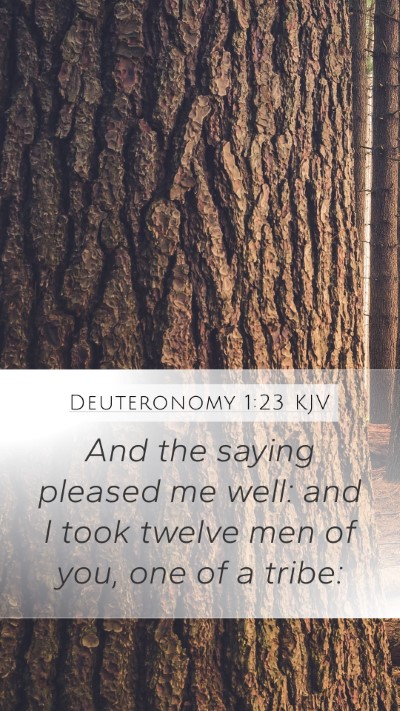 Deuteronomy 1:23 KJV Mobile Phone Wallpaper - And the saying pleased me well: and I took twelve - Mobile Bible Verse Wallpaper