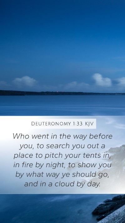 Deuteronomy 1:33 KJV Bible Verse Image