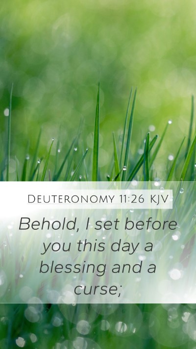 Deuteronomy 11:26 KJV Bible Verse Image