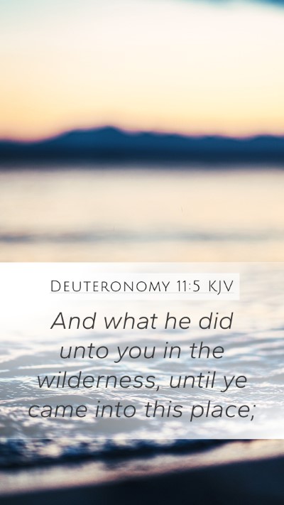 Deuteronomy 11:5 KJV Mobile Phone Wallpaper - And what he did unto you in the wilderness, until - Mobile Bible Verse Wallpaper