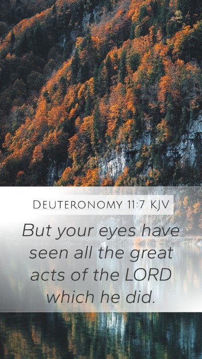Deuteronomy 11:7 KJV Bible Verse Image