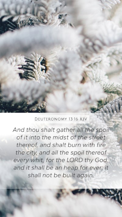 Deuteronomy 13:16 KJV Bible Verse Image