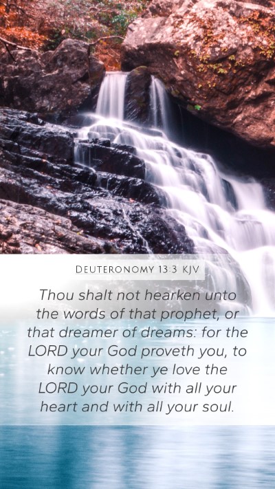 Deuteronomy 13:3 KJV Bible Verse Image