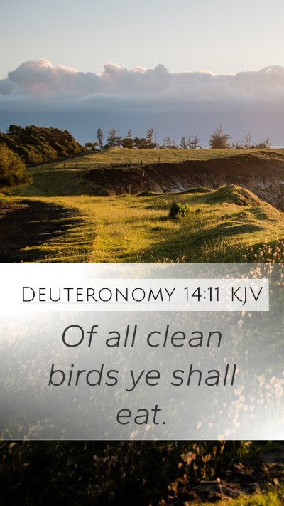 Deuteronomy 14:11 KJV Mobile Phone Wallpaper - Of all clean birds ye shall - Mobile Bible Verse Wallpaper
