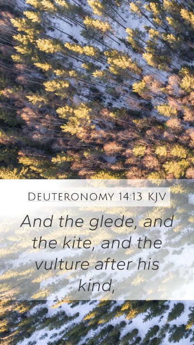Deuteronomy 14:13 KJV Mobile Phone Wallpaper - And the glede, and the kite, and the vulture - Mobile Bible Verse Wallpaper