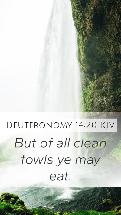 Deuteronomy 14:20 KJV Mobile Phone Wallpaper - But of all clean fowls ye may - Mobile Bible Verse Wallpaper