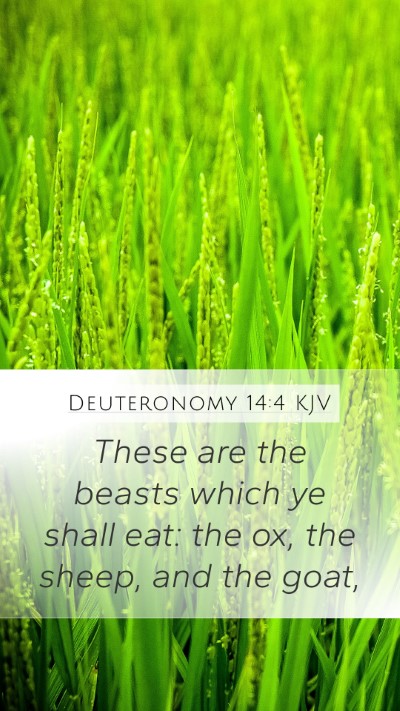 Deuteronomy 14:4 KJV Mobile Phone Wallpaper - These are the beasts which ye shall eat: the ox, - Mobile Bible Verse Wallpaper