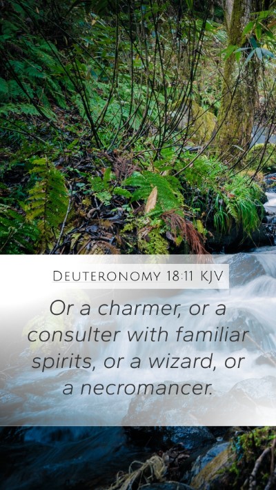 Deuteronomy 18:11 KJV Bible Verse Image