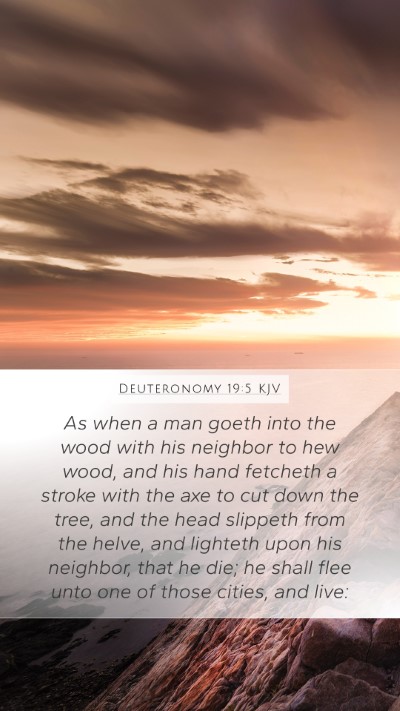 Deuteronomy 19:5 KJV Bible Verse Image
