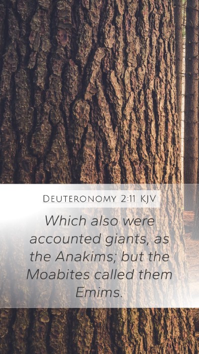 Deuteronomy 2:11 KJV Bible Verse Image
