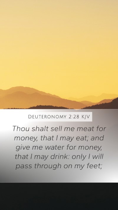Deuteronomy 2:28 KJV Bible Verse Image