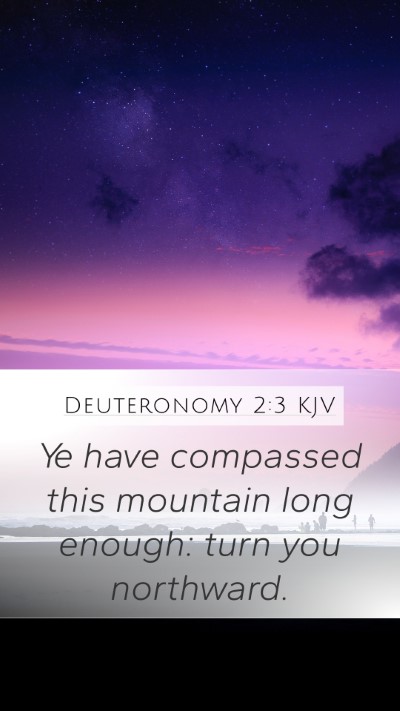 Deuteronomy 2:3 KJV Mobile Phone Wallpaper - Ye have compassed this mountain long enough: turn - Mobile Bible Verse Wallpaper