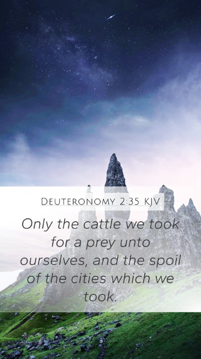 Deuteronomy 2:35 KJV Bible Verse Image
