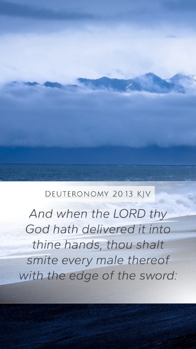 Deuteronomy 20:13 KJV Bible Verse Image