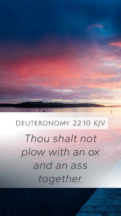 Deuteronomy 22:10 KJV Mobile Phone Wallpaper - Thou shalt not plow with an ox and an ass - Mobile Bible Verse Wallpaper