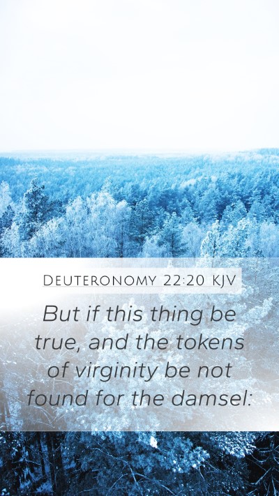 Deuteronomy 22:20 KJV Mobile Phone Wallpaper - But if this thing be true, and the tokens of - Mobile Bible Verse Wallpaper