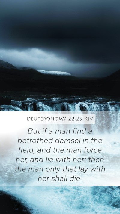 Deuteronomy 22:25 KJV Bible Verse Image