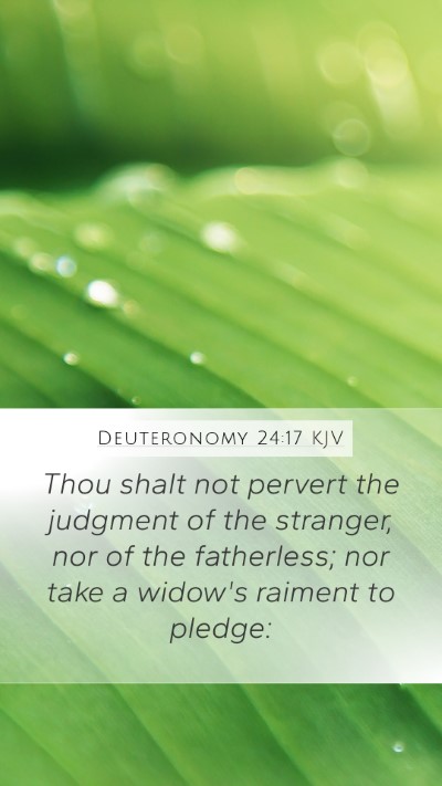 Deuteronomy 24:17 KJV Bible Verse Image