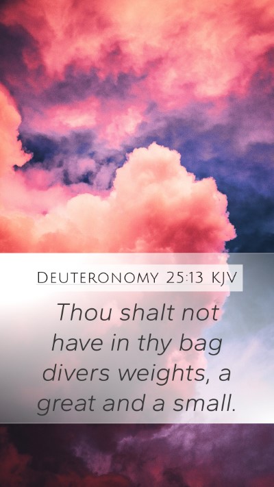 Deuteronomy 25:13 KJV Bible Verse Image