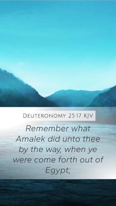 Deuteronomy 25:17 KJV Bible Verse Image