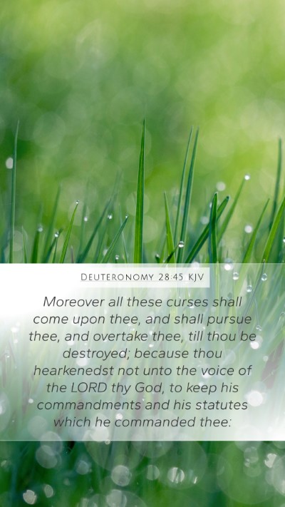 Deuteronomy 28:45 KJV Bible Verse Image