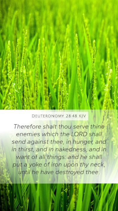 Deuteronomy 28:48 KJV Bible Verse Image