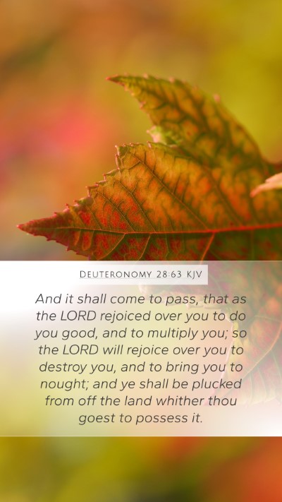 Deuteronomy 28:63 KJV Bible Verse Image