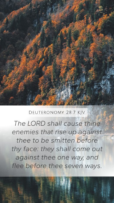 Deuteronomy 28:7 KJV Bible Verse Image