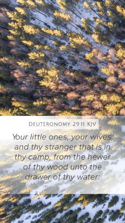 Deuteronomy 29:11 KJV Bible Verse Image