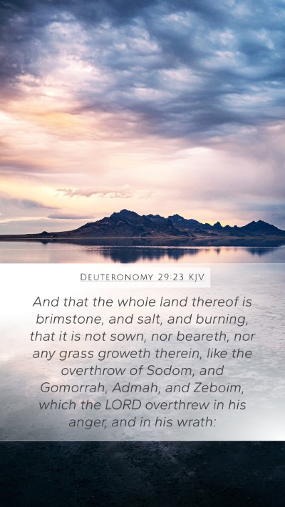 Deuteronomy 29:23 KJV Bible Verse Image
