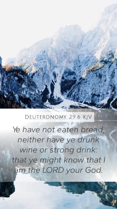 Deuteronomy 29:6 KJV Bible Verse Image