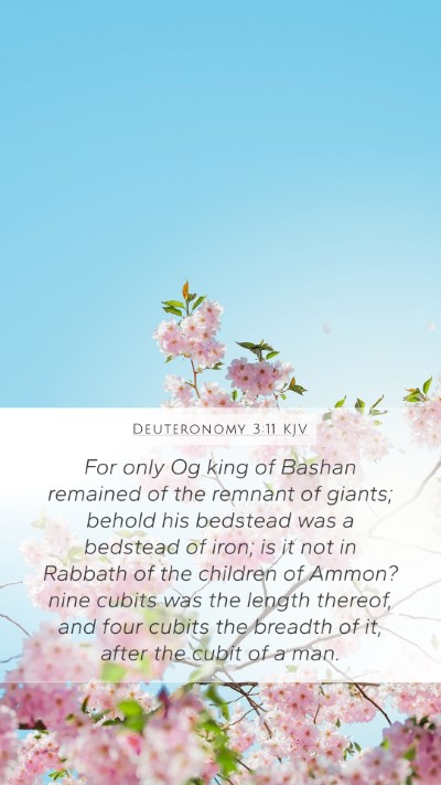 Deuteronomy 3:11 KJV Bible Verse Image