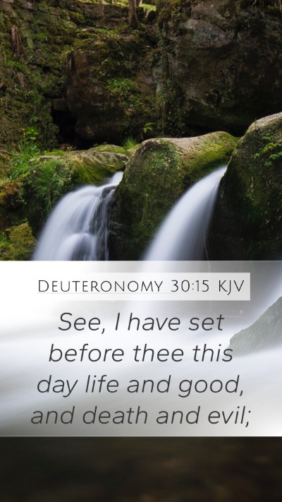 Deuteronomy 30:15 KJV Bible Verse Image