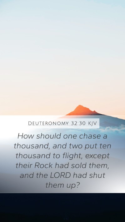 Deuteronomy 32:30 KJV Bible Verse Image