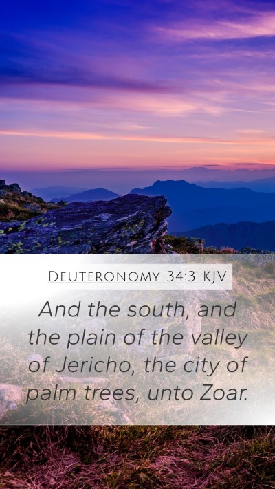 Deuteronomy 34:3 KJV Bible Verse Image
