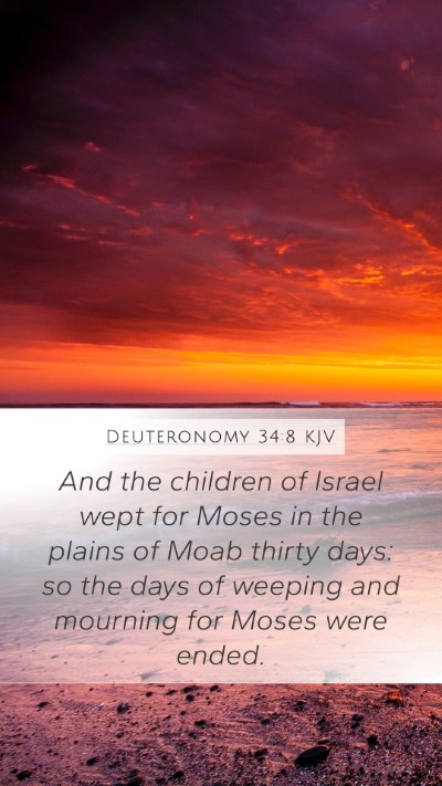Deuteronomy 34:8 KJV Bible Verse Image
