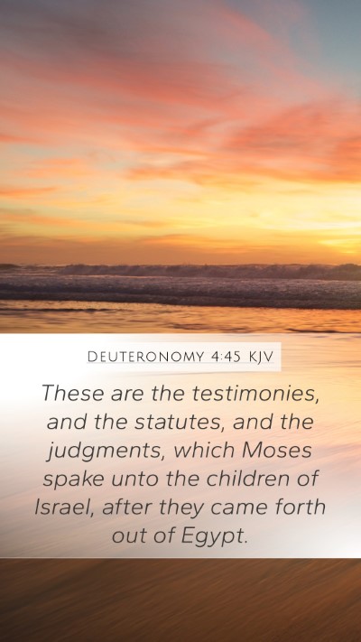 Deuteronomy 4:45 KJV Bible Verse Image