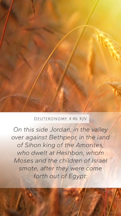 Deuteronomy 4:46 KJV Mobile Phone Wallpaper - On this side Jordan, in the valley over against - Mobile Bible Verse Wallpaper